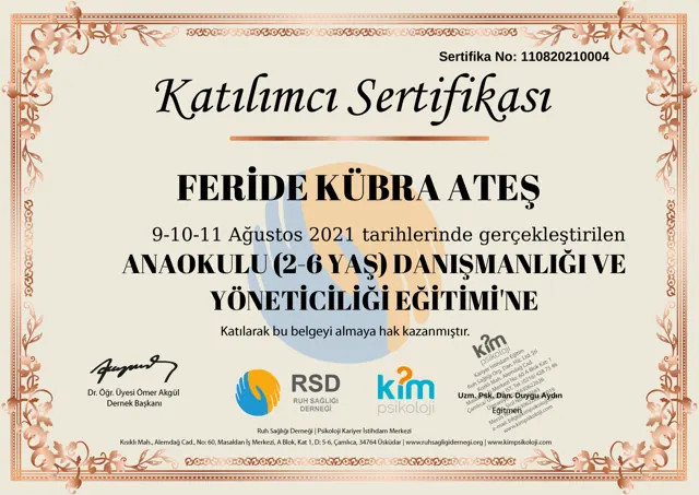 Anaokulu danışmanlığı eğitimi sertifikası