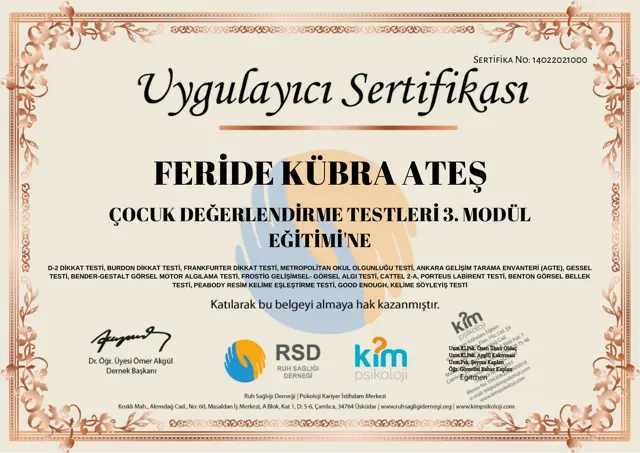 Çocuk değerlendirme testleri eğitimi sertifikası